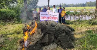 বাসাইলে ৫০০ মিটার চায়না দুয়ারী জাল পুড়িয়ে ধ্বংস